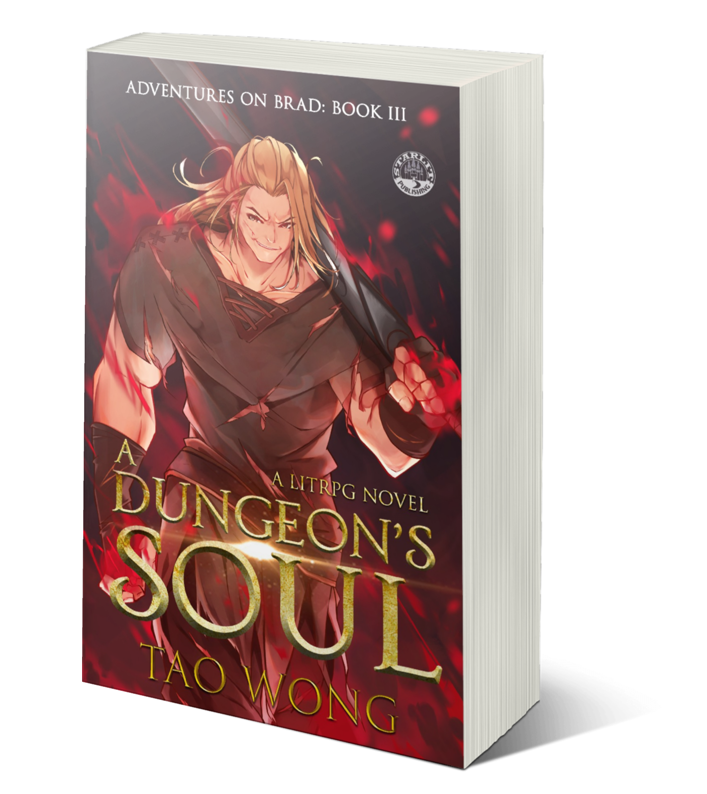 A Dungeon's Soul (Adventures on Brad #3)