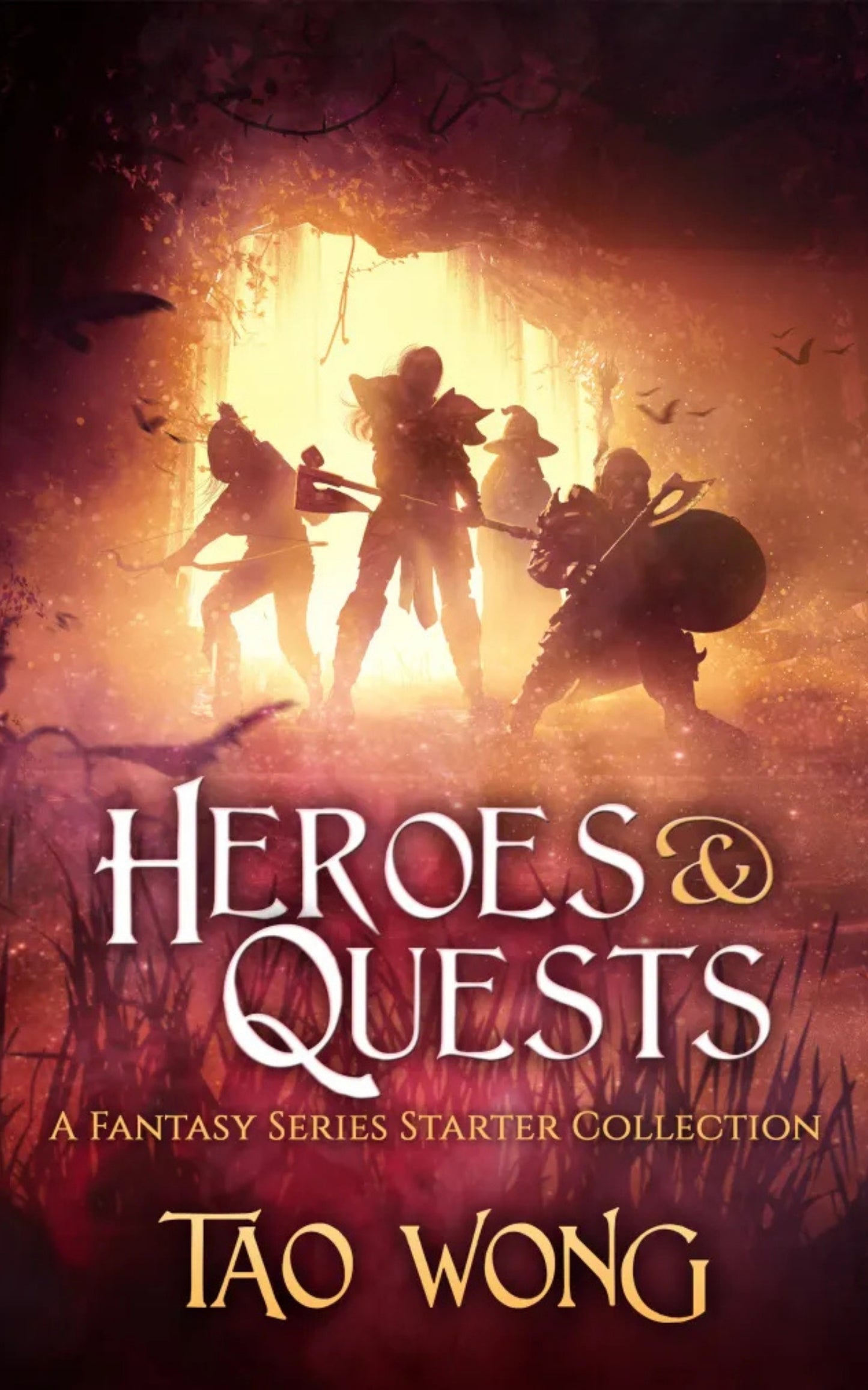 Heroes & Quests: A Fantasy Series Starter Collection