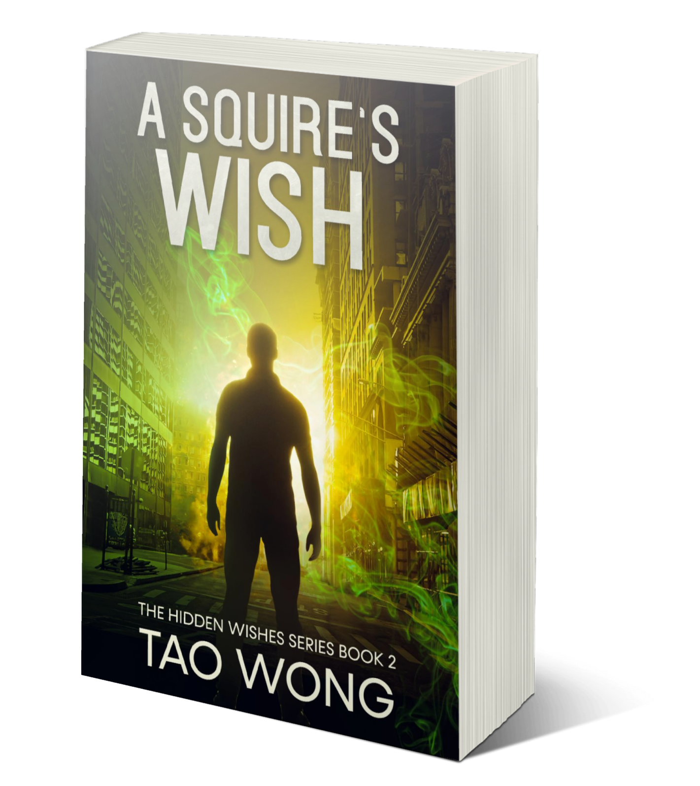 A Squire's Wish (Hidden Wishes #2)