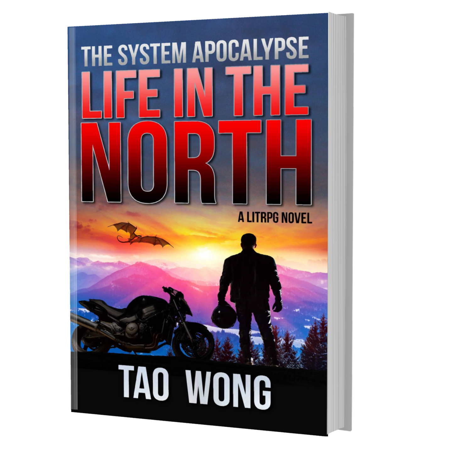  Life in the North: A LitRPG Apocalypse: The System